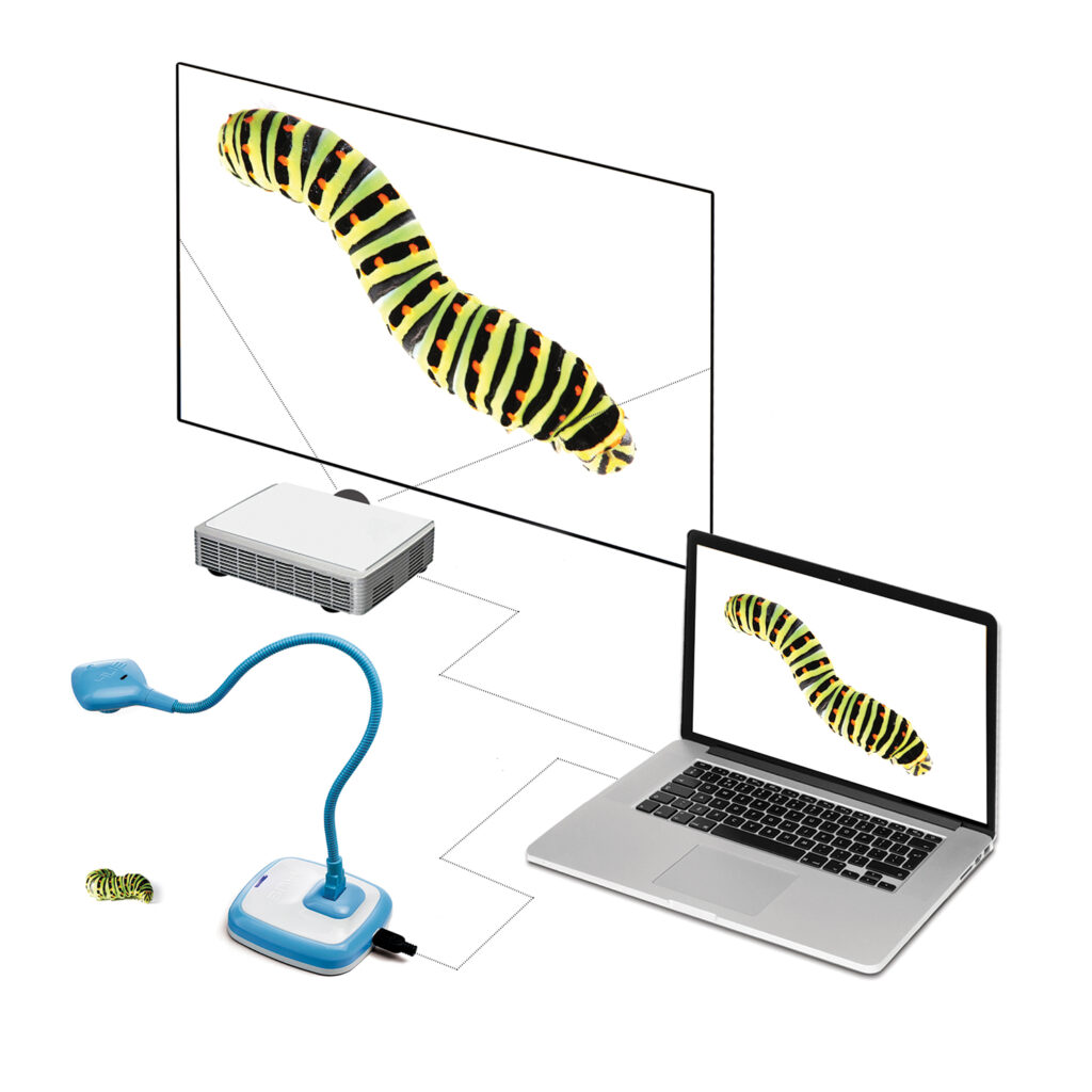 HUE HD Pro document camera filming a caterpillar for projection via a laptop