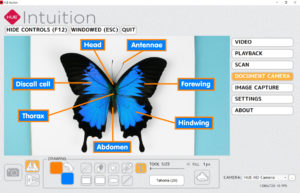 Take a closer look at entomology with HUE