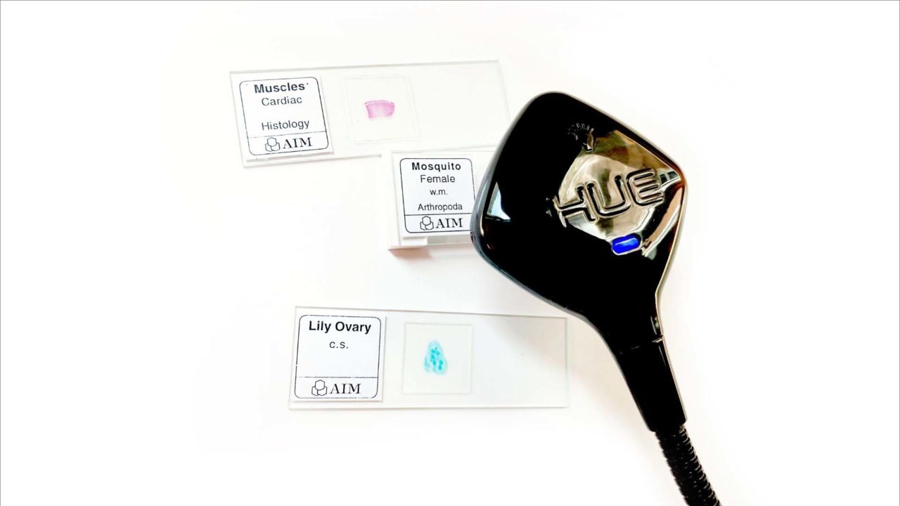 Using the HUE HD Pro document camera as a microscope HUE