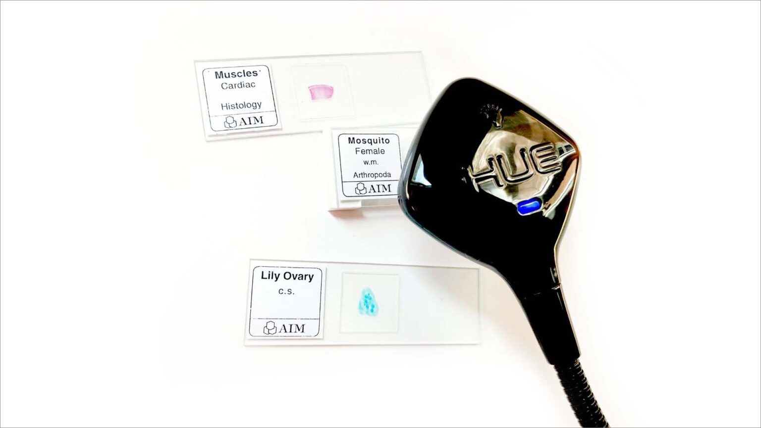 Using the HUE HD Pro document camera as a microscope HUE